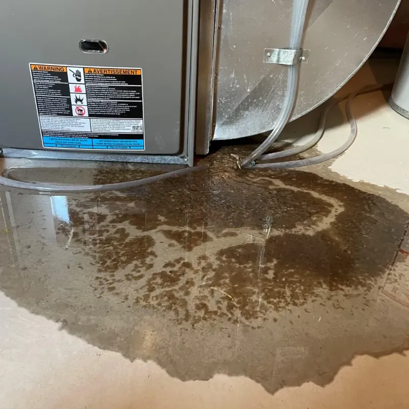 Appliance Leak Cleanup in Jerome County, ID